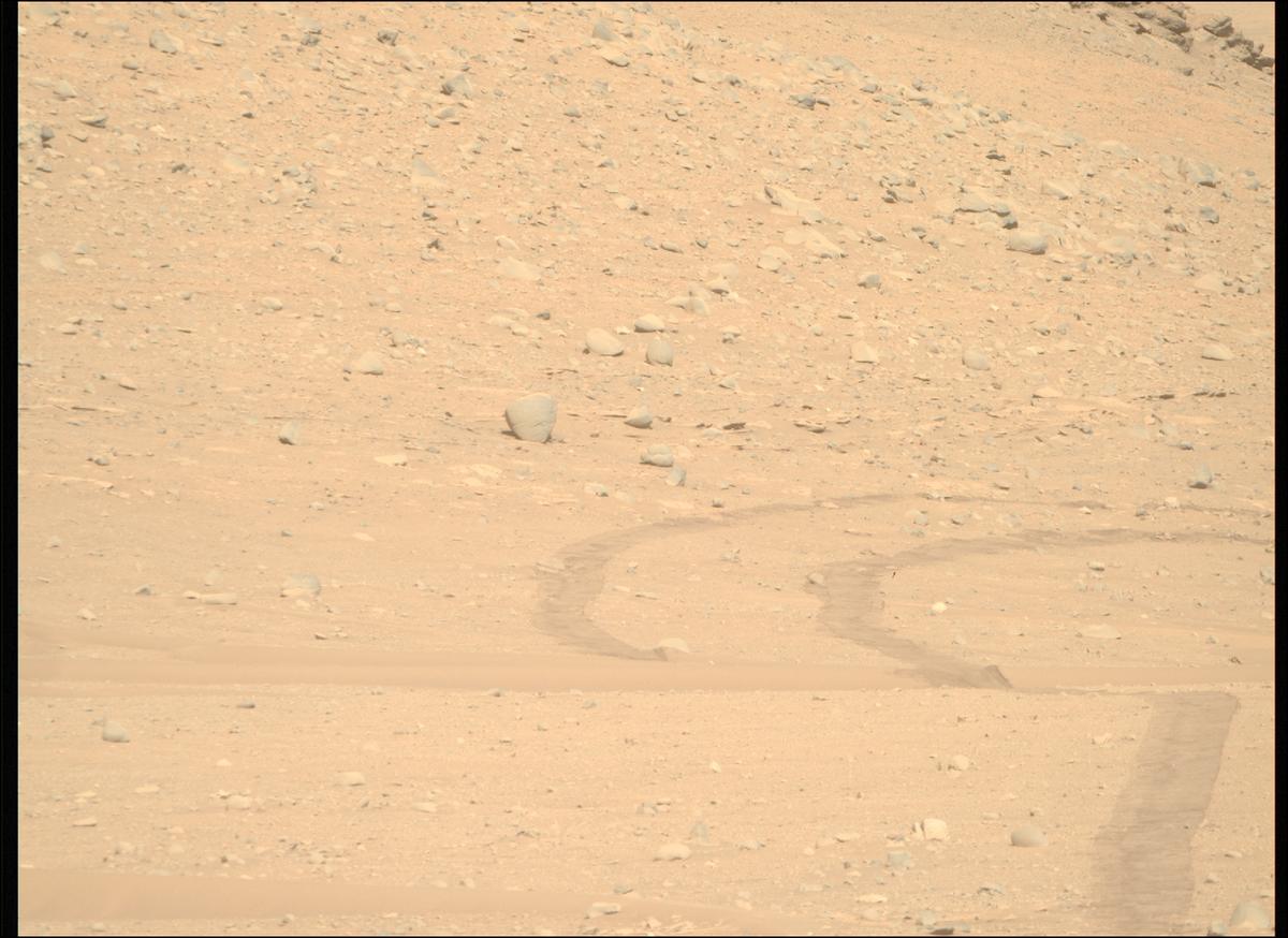 This image was taken by MCZ_RIGHT onboard NASA's Mars rover Perseverance on Sol 710