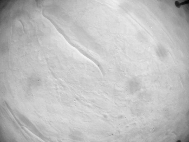 This image was taken by HELI_NAV onboard NASA's Mars rover Perseverance on Sol 711