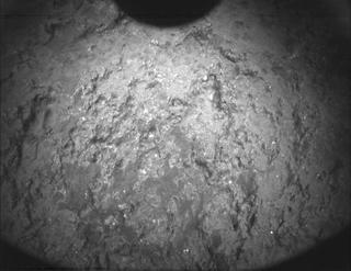 View image taken on Mars, Mars Perseverance Sol 711: PIXL Camera 