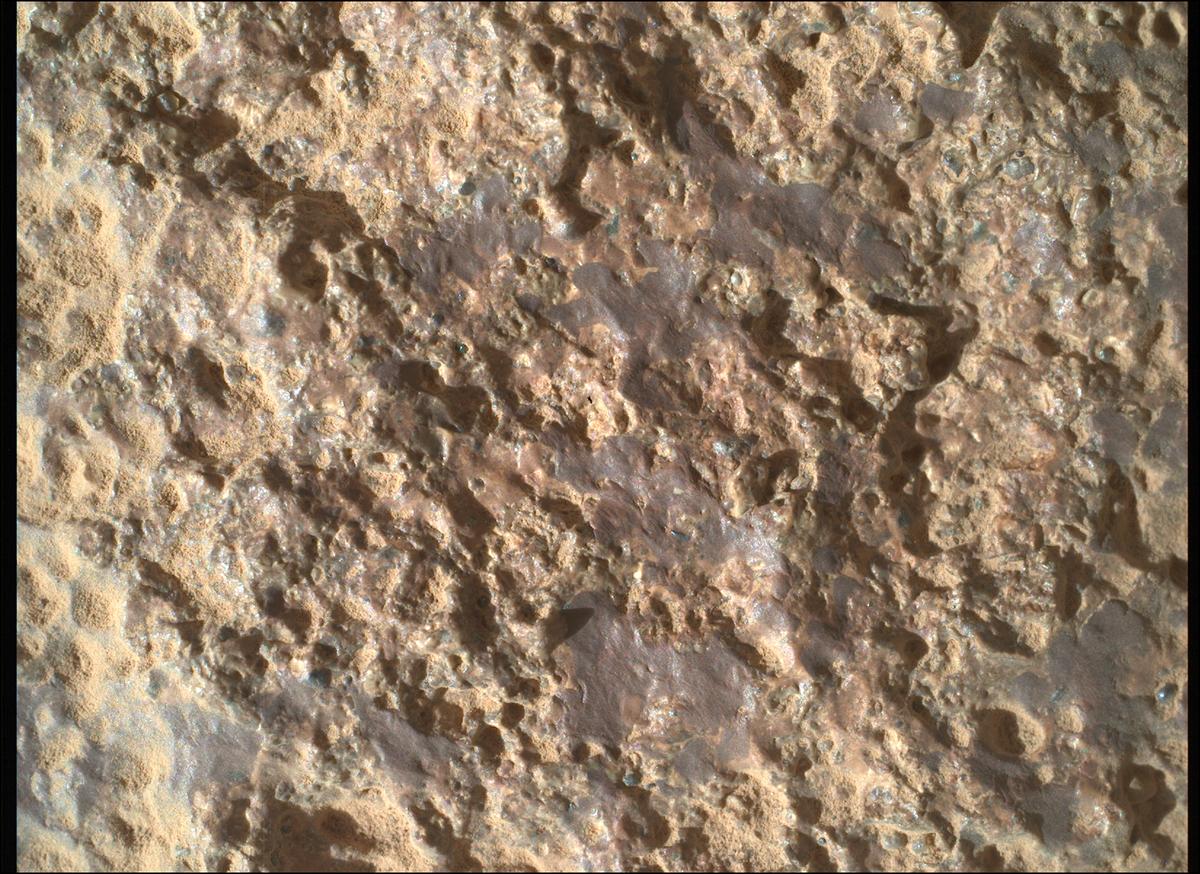 This image was taken by SHERLOC_WATSON onboard NASA's Mars rover Perseverance on Sol 711