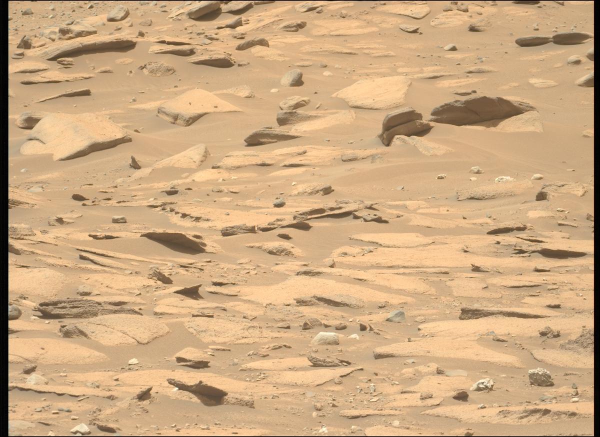 This image was taken by MCZ_LEFT onboard NASA's Mars rover Perseverance on Sol 711