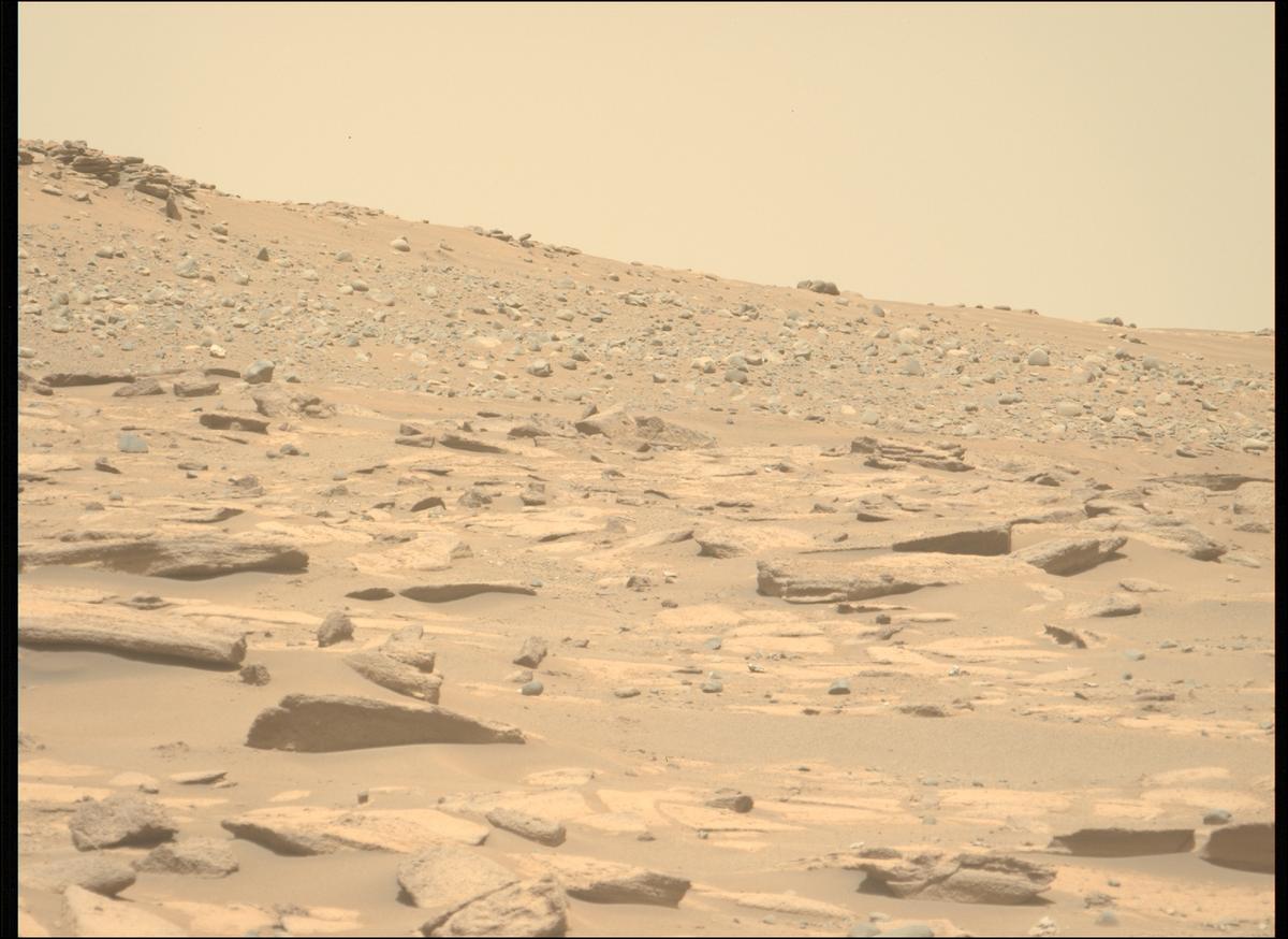 This image was taken by MCZ_LEFT onboard NASA's Mars rover Perseverance on Sol 711