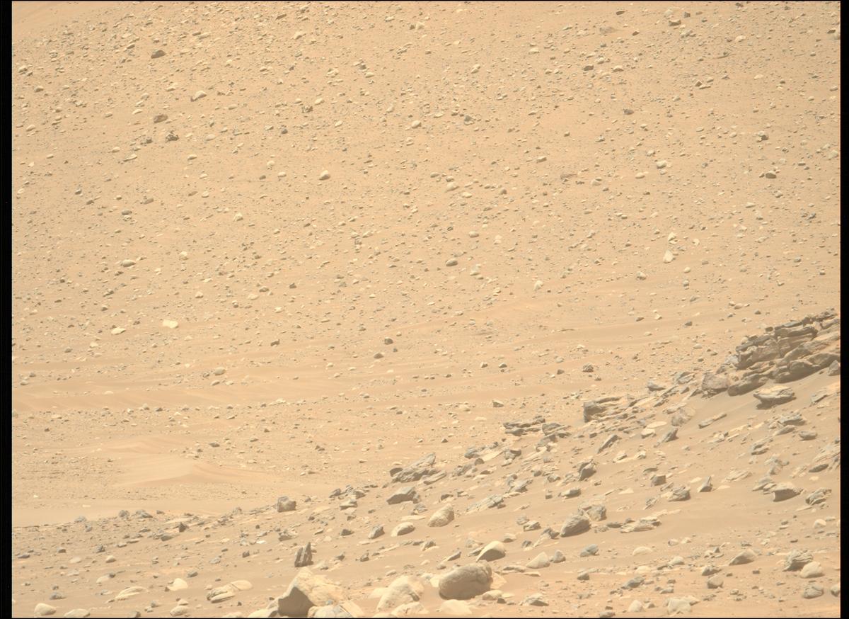 This image was taken by MCZ_LEFT onboard NASA's Mars rover Perseverance on Sol 711