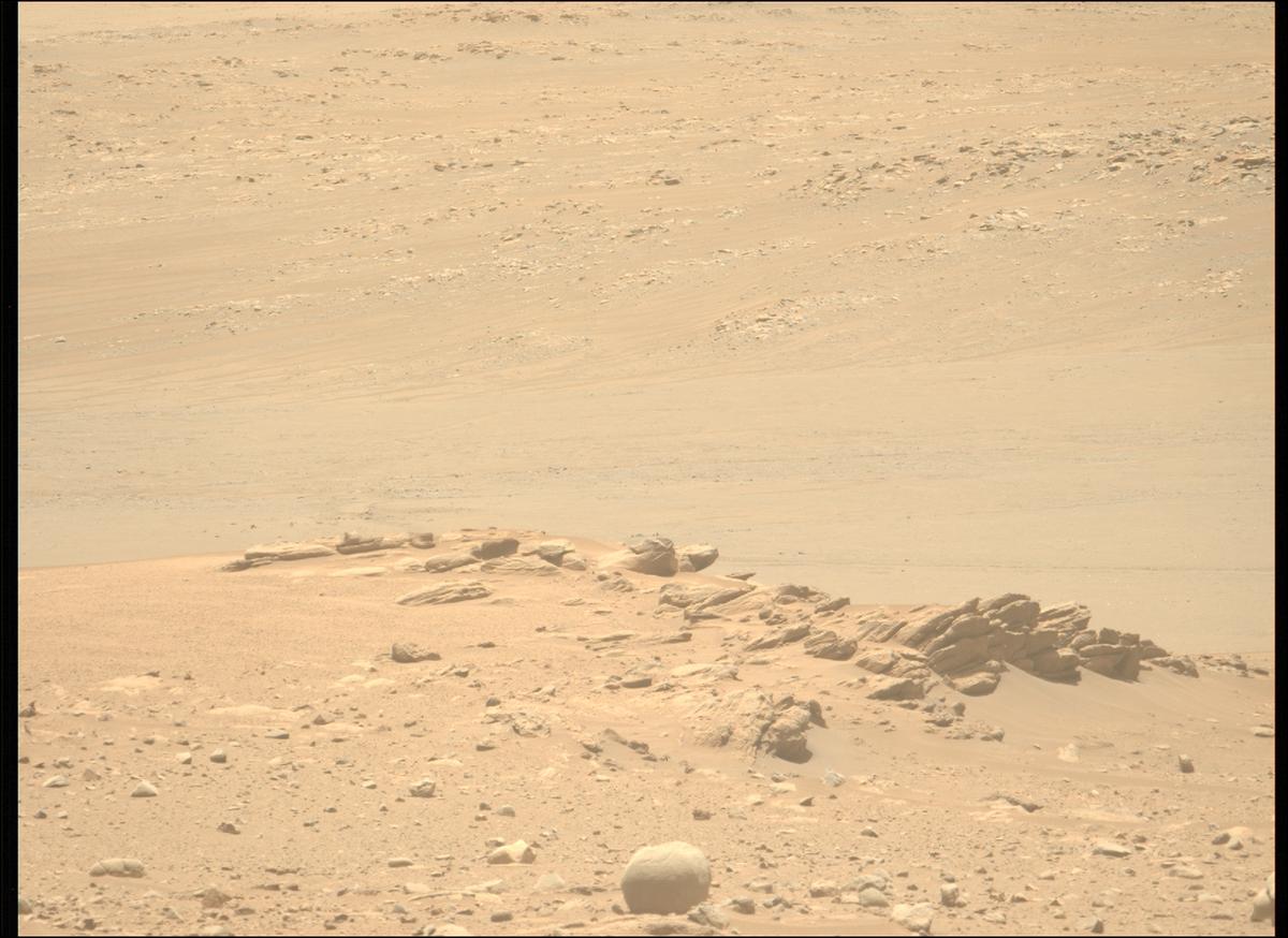 This image was taken by MCZ_LEFT onboard NASA's Mars rover Perseverance on Sol 711