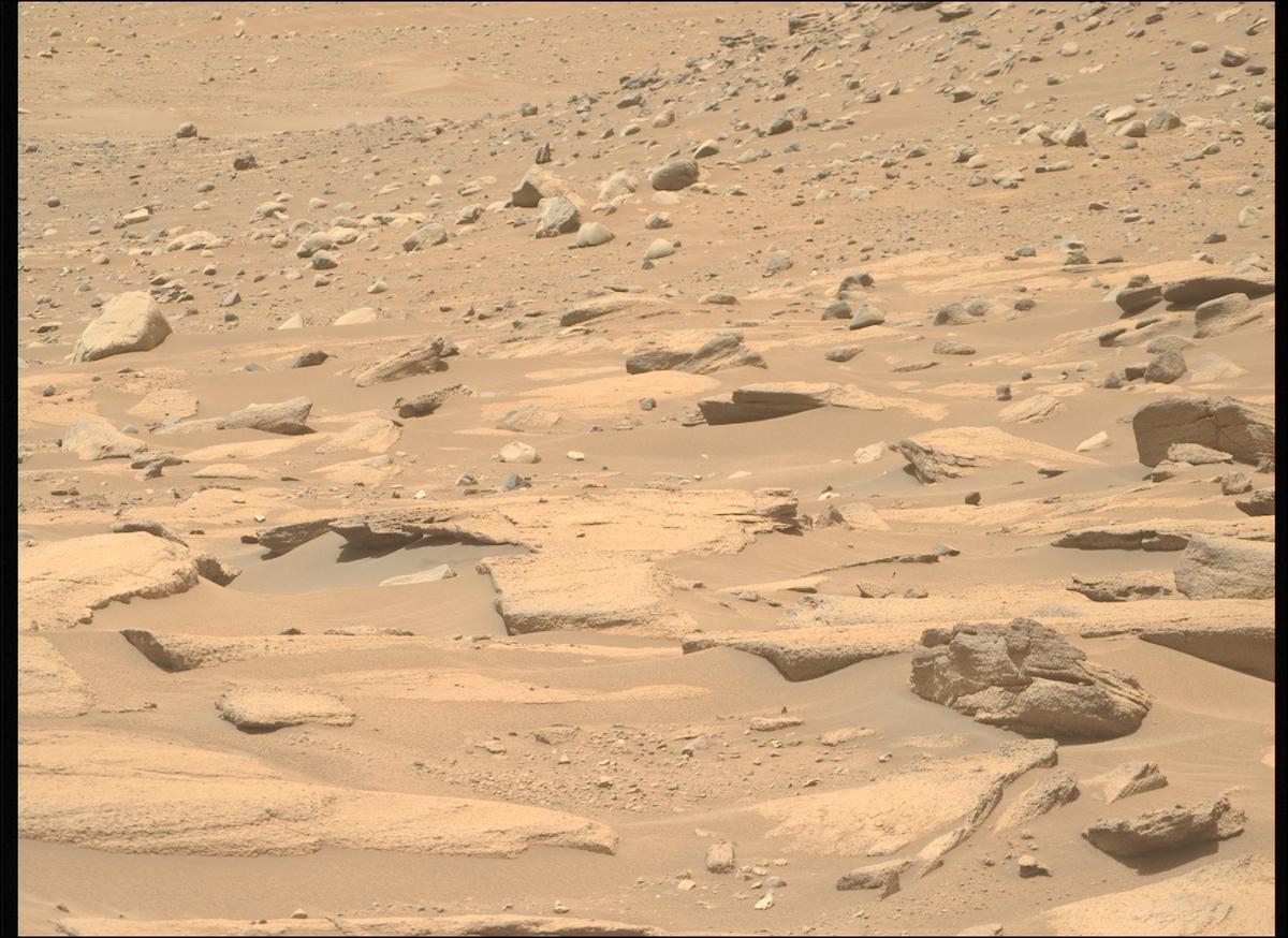 This image was taken by MCZ_RIGHT onboard NASA's Mars rover Perseverance on Sol 711