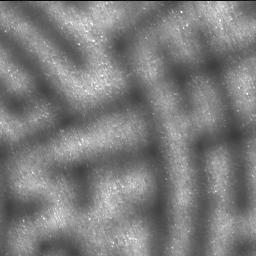 This image was taken by SHERLOC_ACI onboard NASA's Mars rover Perseverance on Sol 712