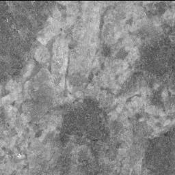 This image was taken by SHERLOC_ACI onboard NASA's Mars rover Perseverance on Sol 712