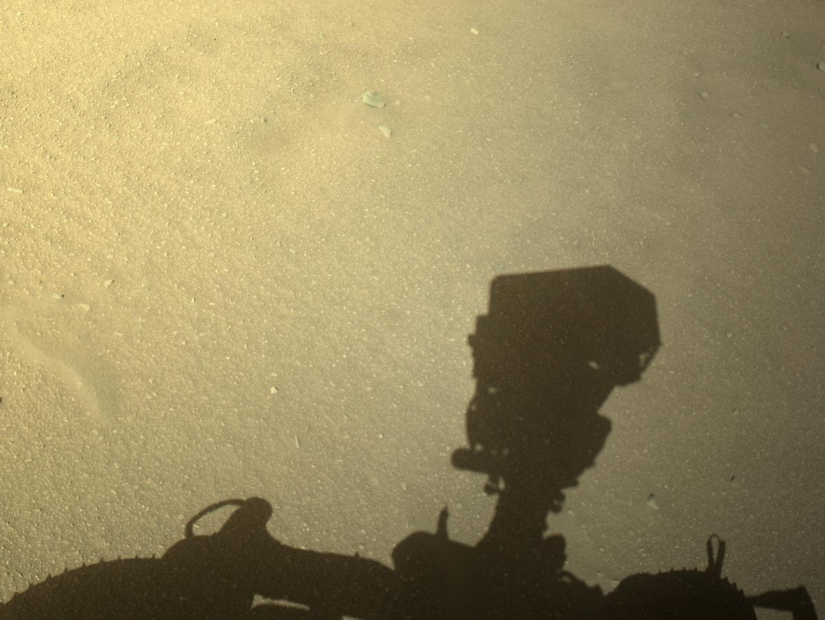 This image was taken by NAVCAM_LEFT onboard NASA's Mars rover Perseverance on Sol 714
