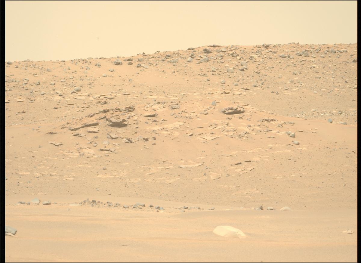 This image was taken by MCZ_LEFT onboard NASA's Mars rover Perseverance on Sol 714