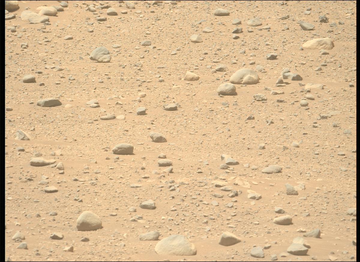 This image was taken by MCZ_LEFT onboard NASA's Mars rover Perseverance on Sol 714