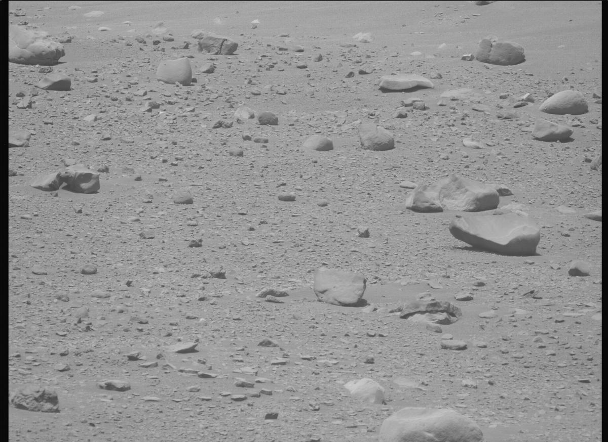 This image was taken by MCZ_LEFT onboard NASA's Mars rover Perseverance on Sol 714