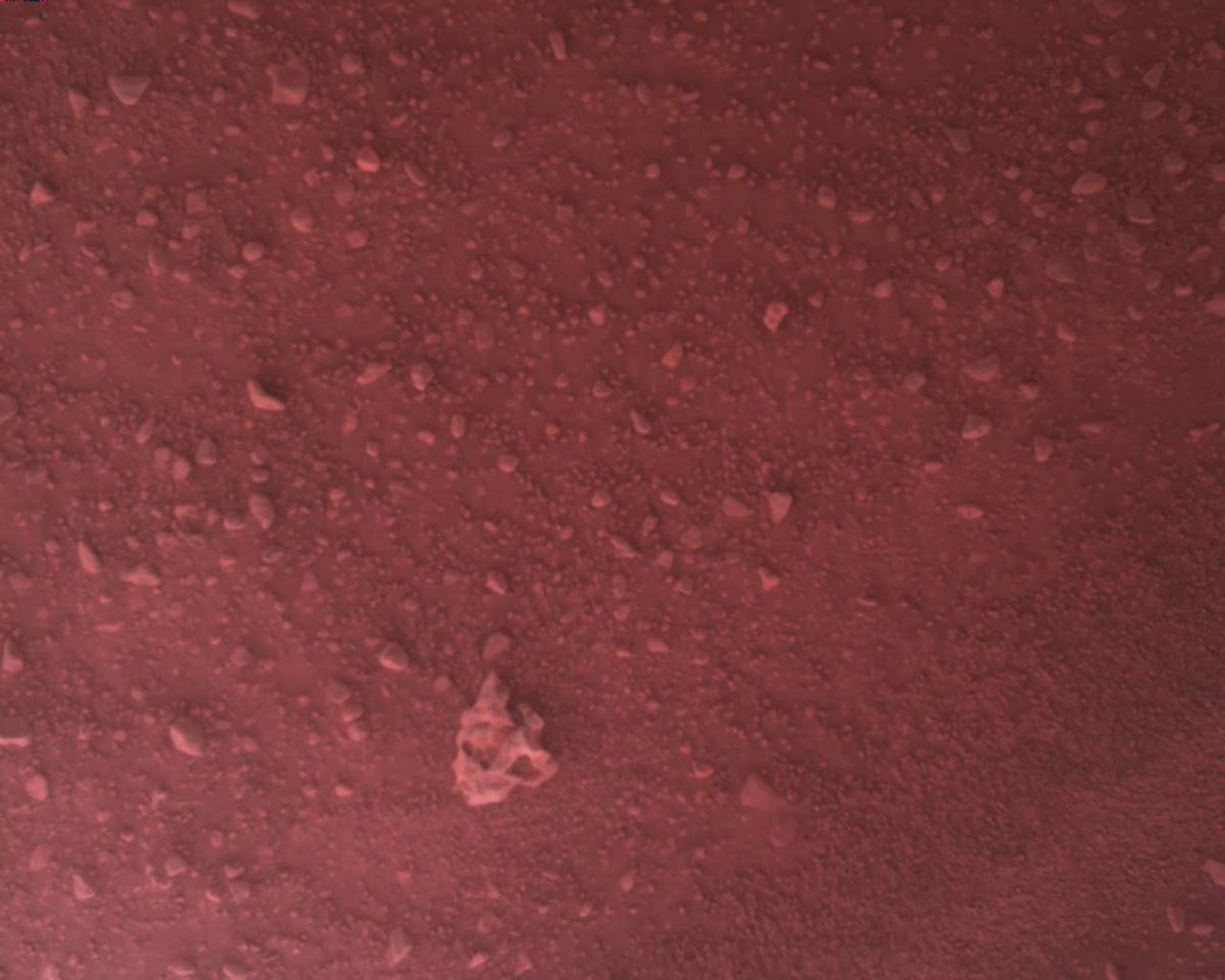 This image was taken by EDL_RDCAM onboard NASA's Mars rover Perseverance on Sol 716