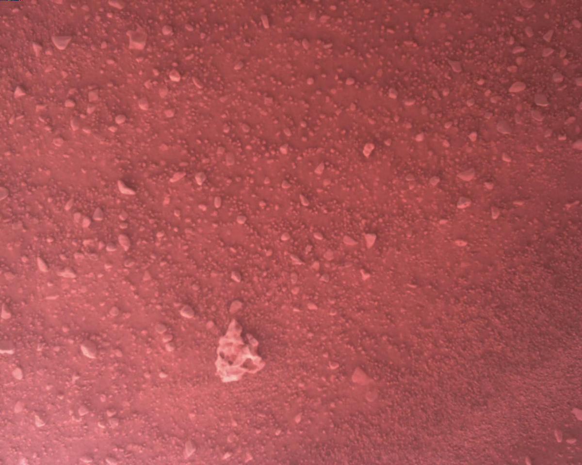 This image was taken by EDL_RDCAM onboard NASA's Mars rover Perseverance on Sol 716