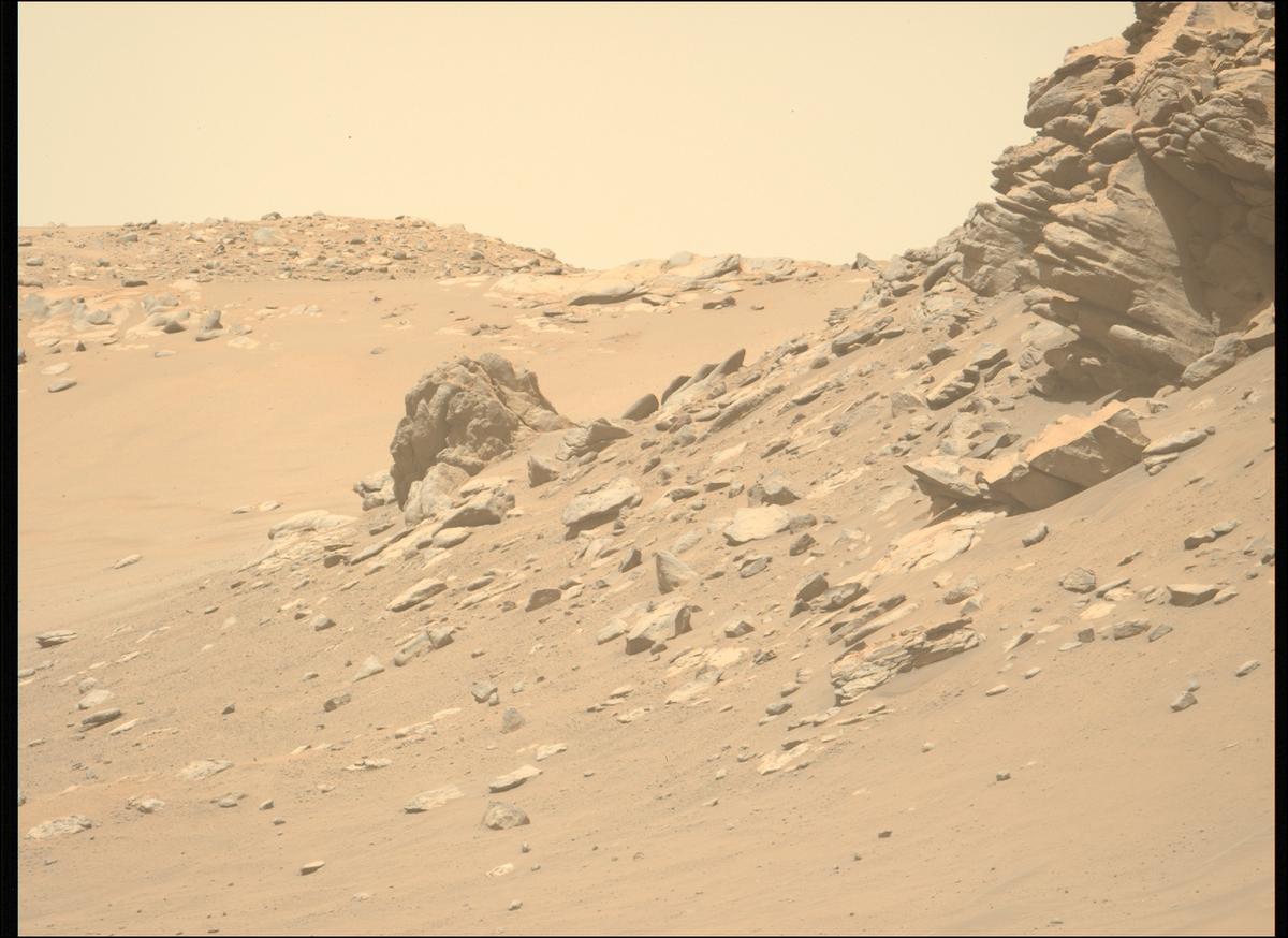 This image was taken by MCZ_LEFT onboard NASA's Mars rover Perseverance on Sol 717