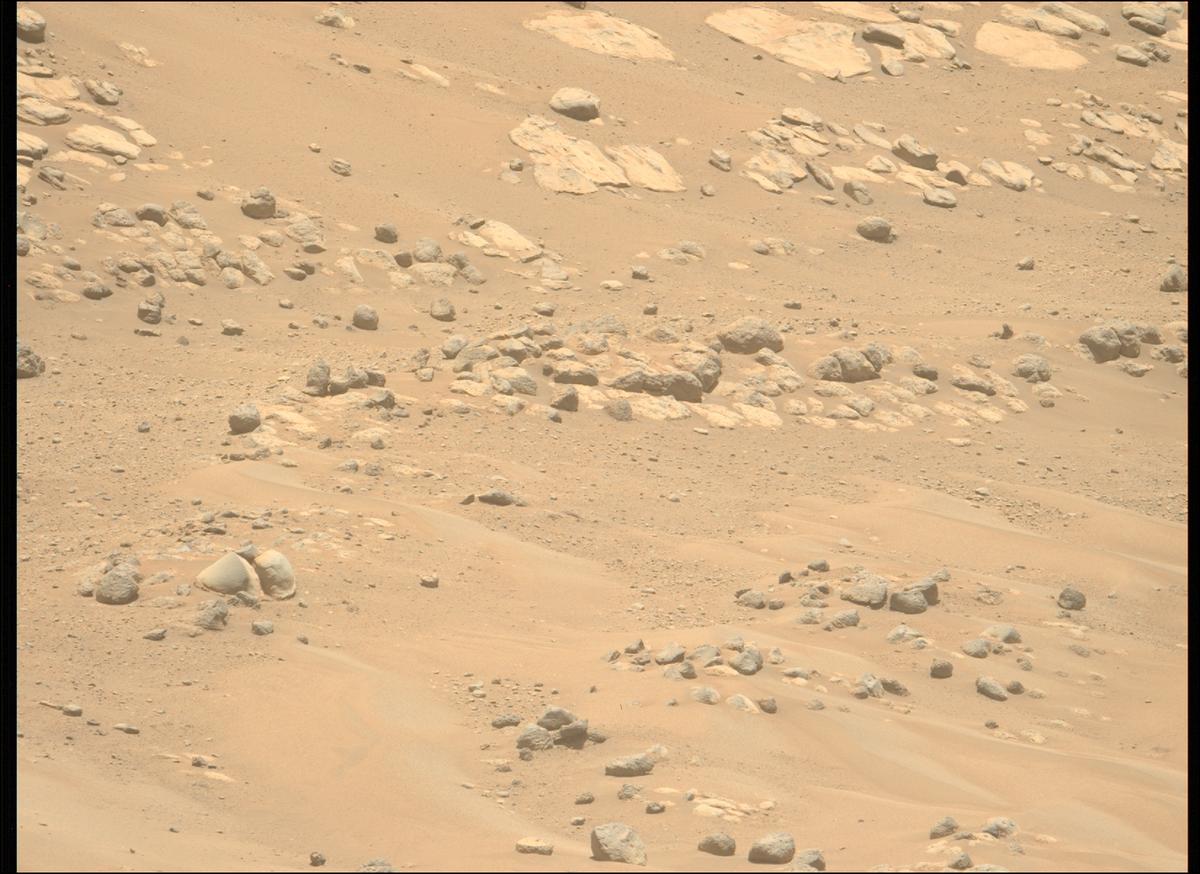 This image was taken by MCZ_LEFT onboard NASA's Mars rover Perseverance on Sol 718