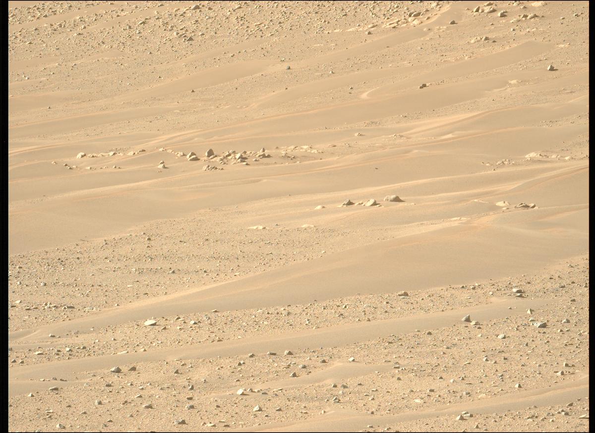 This image was taken by MCZ_LEFT onboard NASA's Mars rover Perseverance on Sol 718
