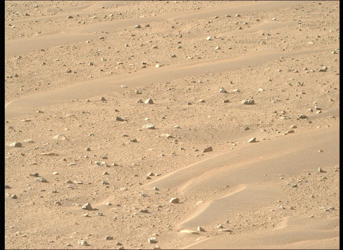 This image was taken by MCZ_RIGHT onboard NASA's Mars rover Perseverance on Sol 718