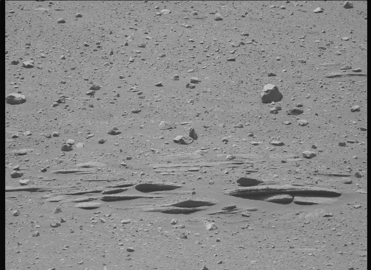 This image was taken by MCZ_LEFT onboard NASA's Mars rover Perseverance on Sol 719