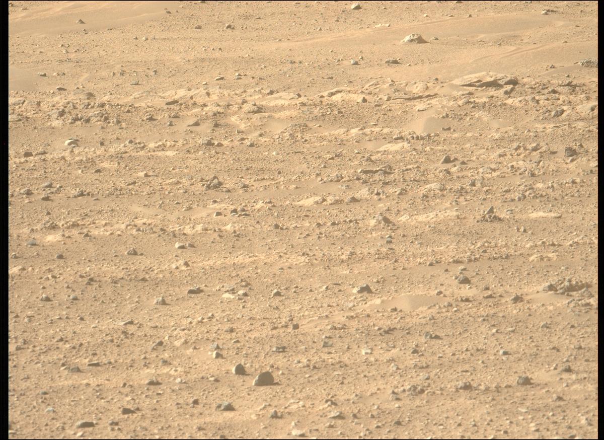 This image was taken by MCZ_LEFT onboard NASA's Mars rover Perseverance on Sol 719