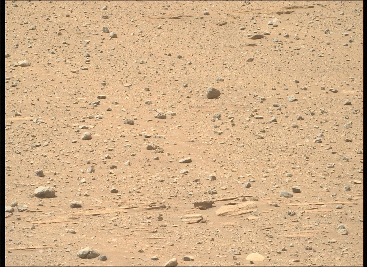 This image was taken by MCZ_RIGHT onboard NASA's Mars rover Perseverance on Sol 719