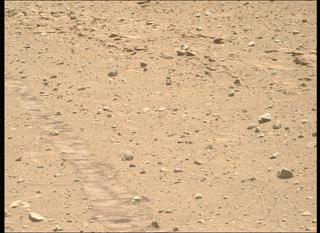 View image taken on Mars, Mars Perseverance Sol 719: Right Mastcam-Z Camera