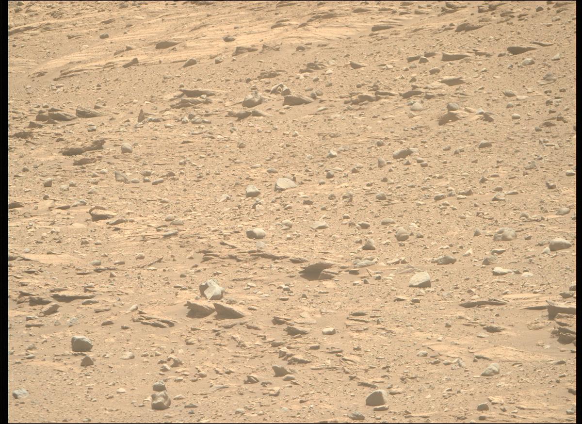 This image was taken by MCZ_RIGHT onboard NASA's Mars rover Perseverance on Sol 719