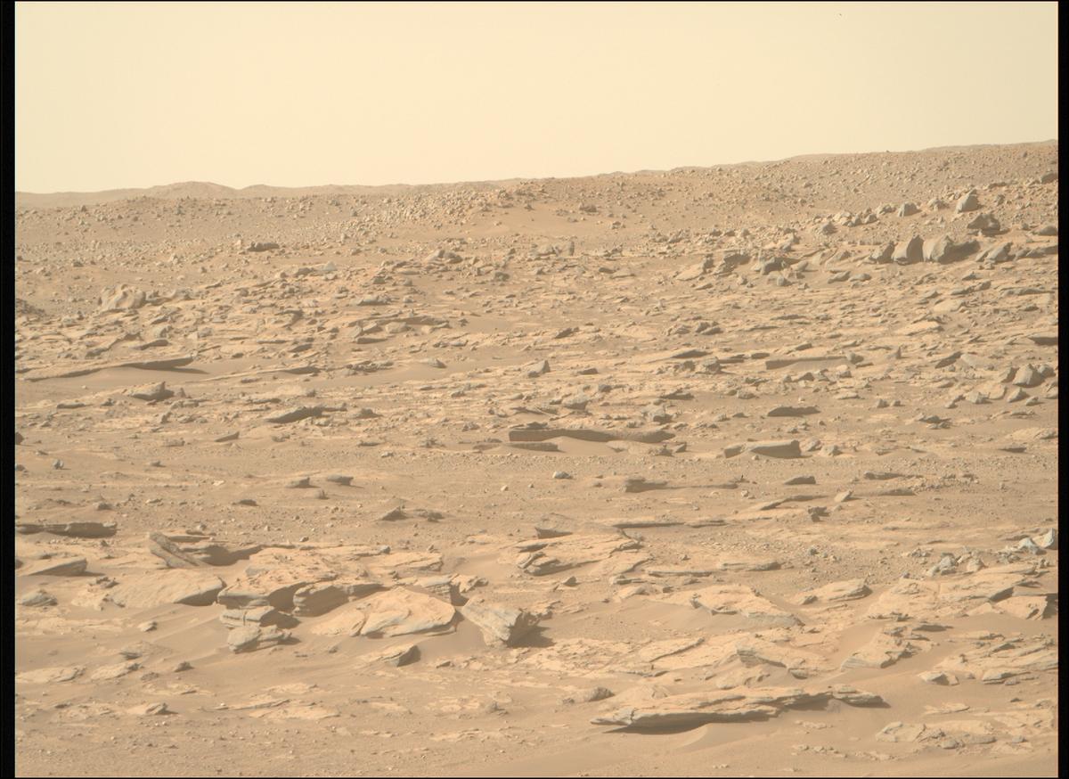 This image was taken by MCZ_RIGHT onboard NASA's Mars rover Perseverance on Sol 719