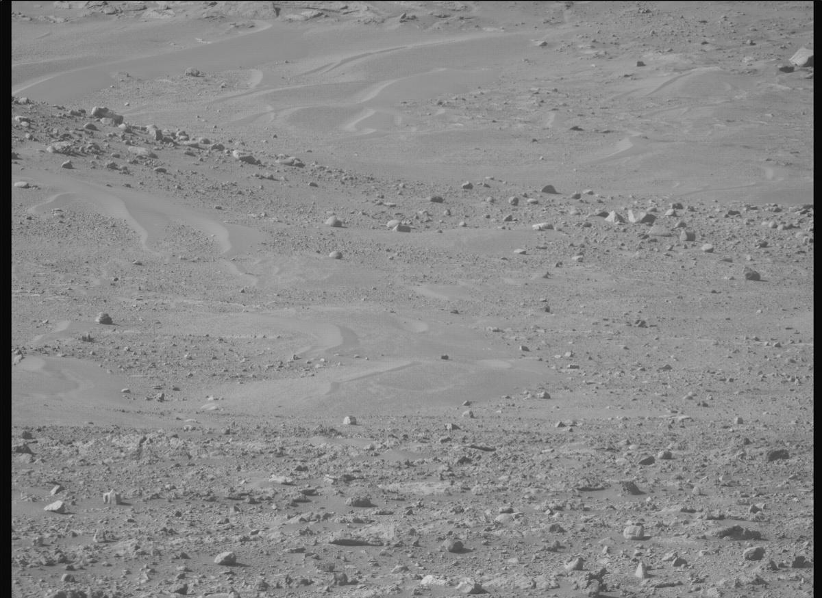 This image was taken by MCZ_RIGHT onboard NASA's Mars rover Perseverance on Sol 719