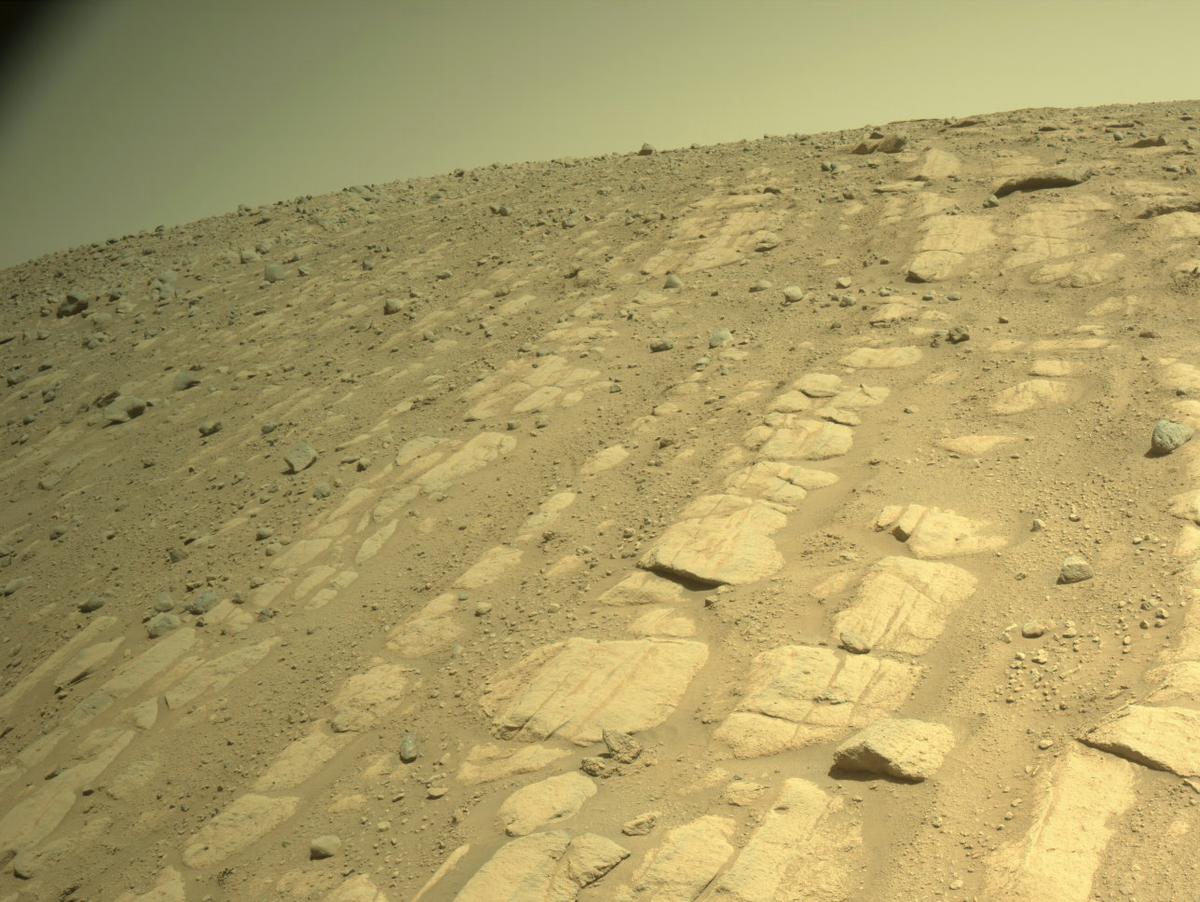 This image was taken by NAVCAM_RIGHT onboard NASA's Mars rover Perseverance on Sol 721