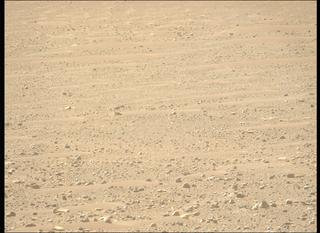 View image taken on Mars, Mars Perseverance Sol 721: Left Mastcam-Z Camera