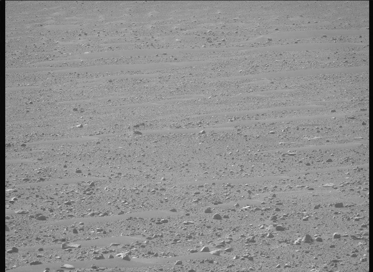 This image was taken by MCZ_LEFT onboard NASA's Mars rover Perseverance on Sol 721