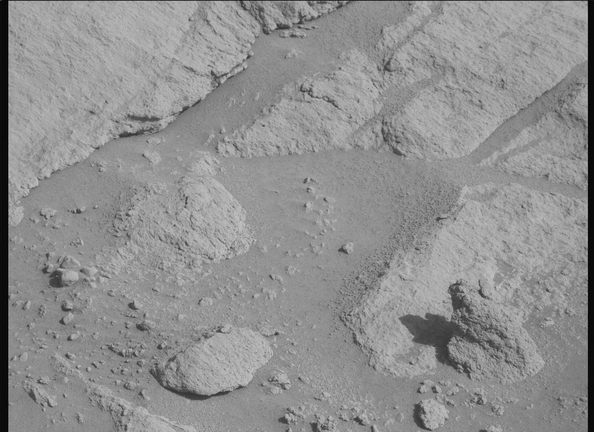 This image was taken by MCZ_LEFT onboard NASA's Mars rover Perseverance on Sol 721