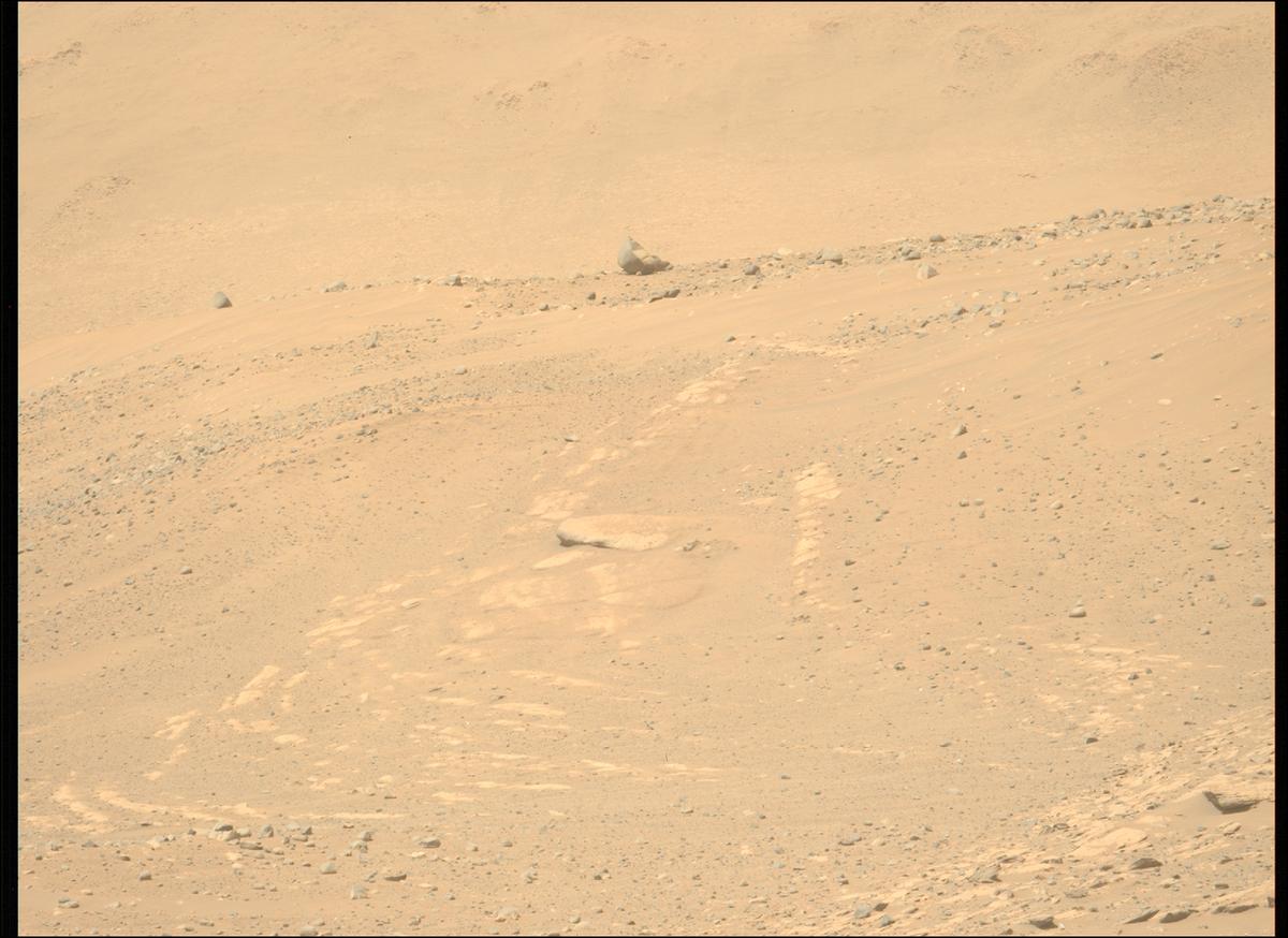 This image was taken by MCZ_LEFT onboard NASA's Mars rover Perseverance on Sol 724