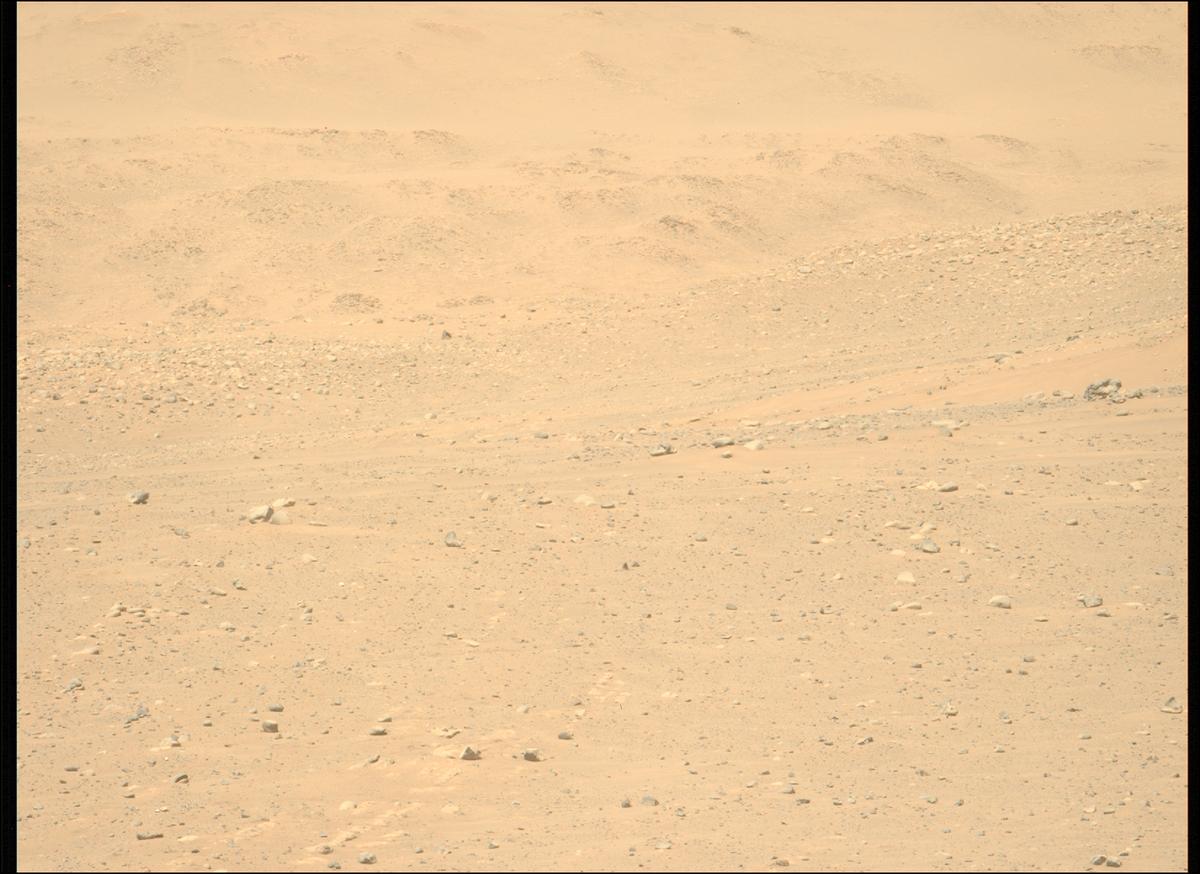 This image was taken by MCZ_LEFT onboard NASA's Mars rover Perseverance on Sol 724