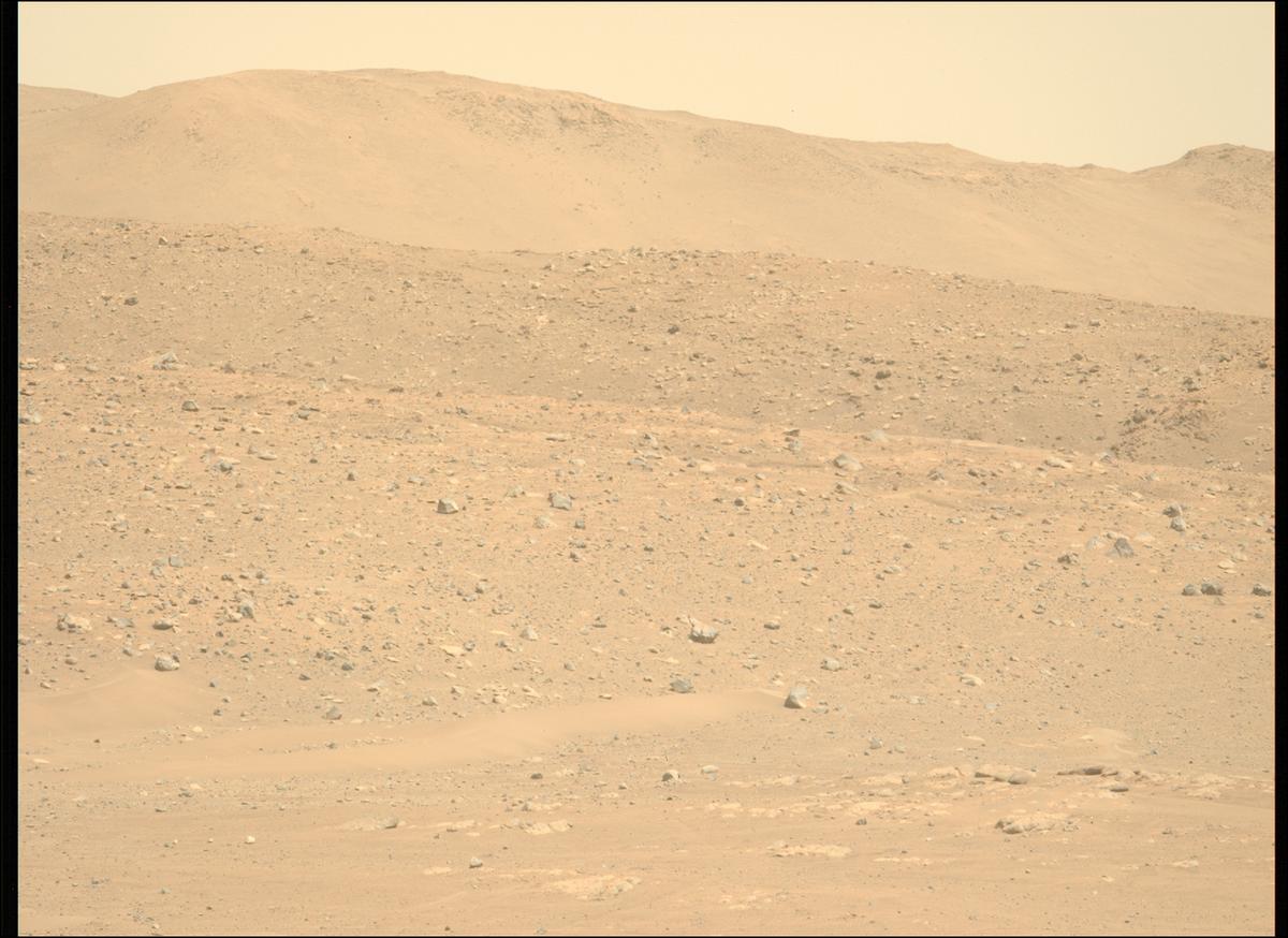This image was taken by MCZ_LEFT onboard NASA's Mars rover Perseverance on Sol 724