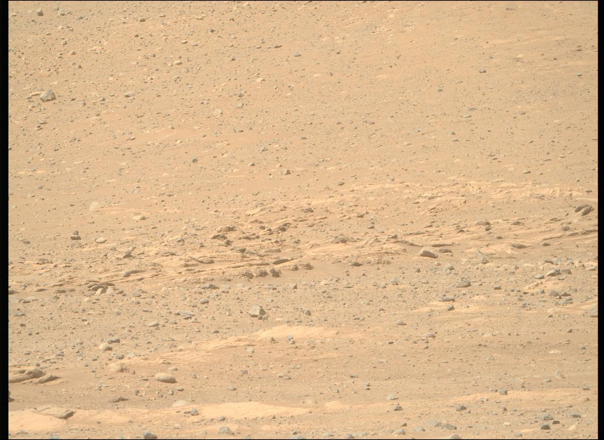 This image was taken by MCZ_RIGHT onboard NASA's Mars rover Perseverance on Sol 724