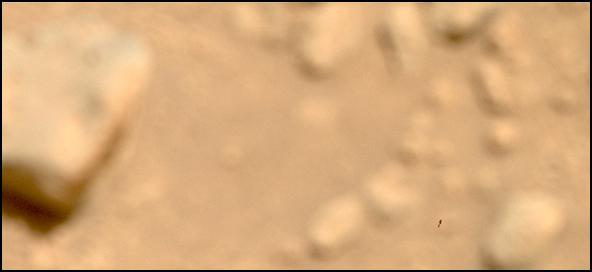 This image was taken by MCZ_RIGHT onboard NASA's Mars rover Perseverance on Sol 724