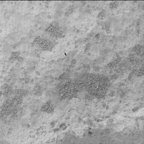 This image was taken by SHERLOC_WATSON onboard NASA's Mars rover Perseverance on Sol 727