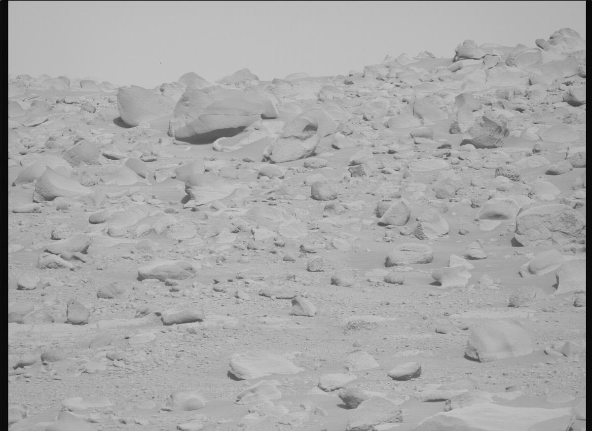 This image was taken by MCZ_LEFT onboard NASA's Mars rover Perseverance on Sol 727