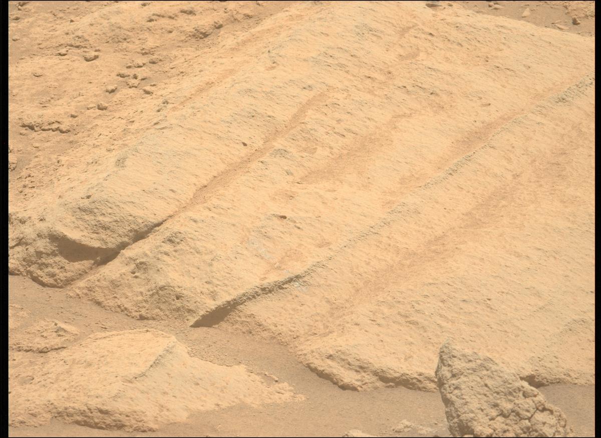 This image was taken by MCZ_LEFT onboard NASA's Mars rover Perseverance on Sol 728