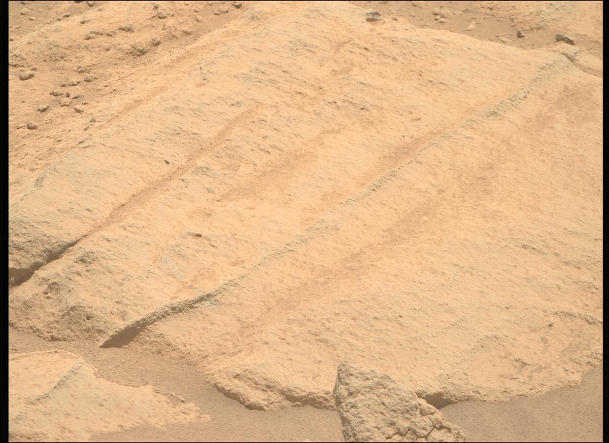This image was taken by MCZ_RIGHT onboard NASA's Mars rover Perseverance on Sol 728