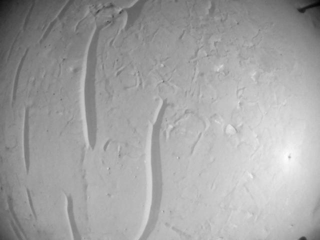 This image was taken by HELI_NAV onboard NASA's Mars rover Perseverance on Sol 729