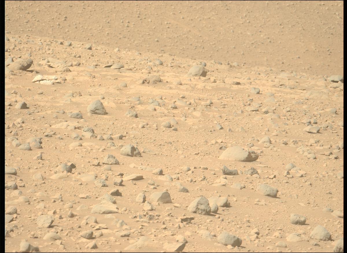 This image was taken by MCZ_LEFT onboard NASA's Mars rover Perseverance on Sol 729