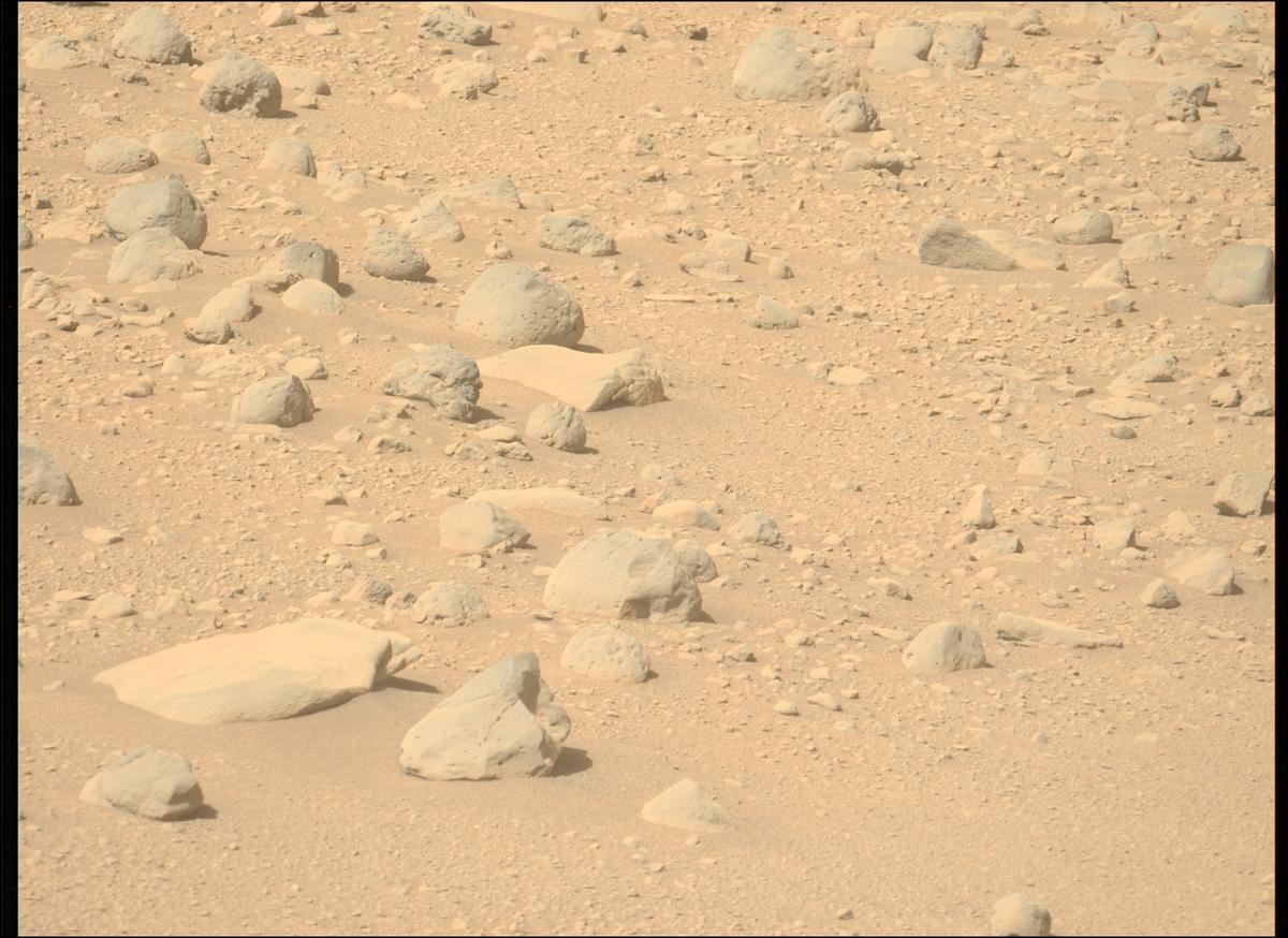 This image was taken by MCZ_LEFT onboard NASA's Mars rover Perseverance on Sol 729