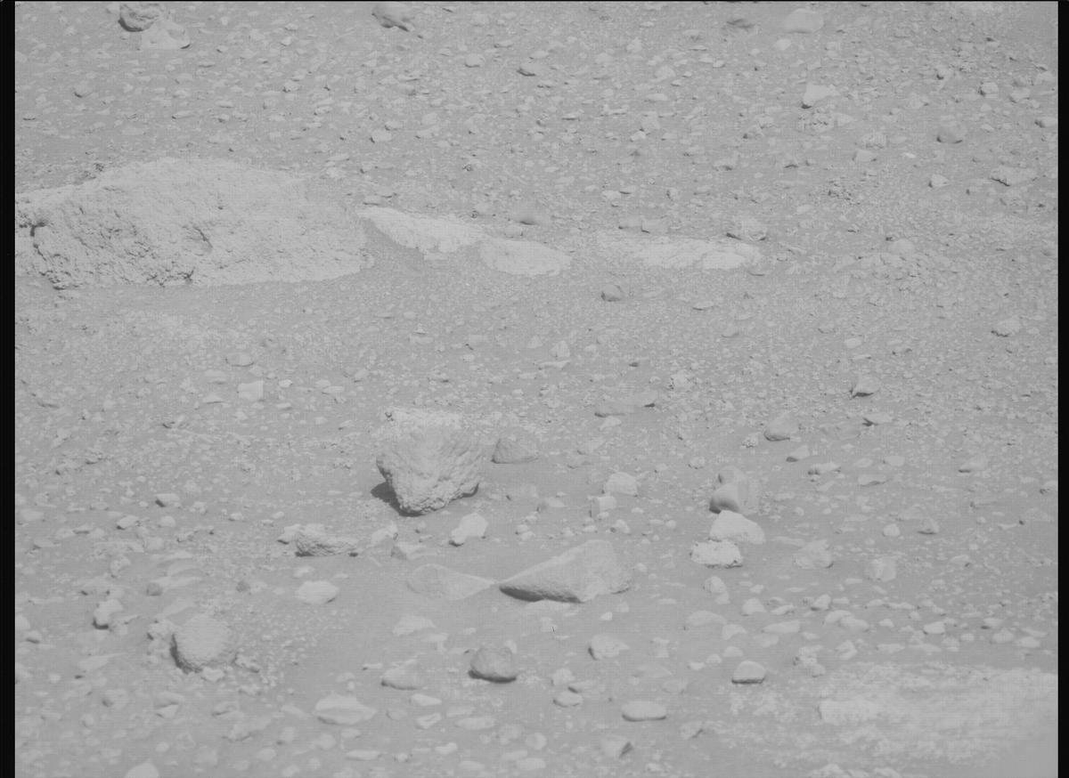 This image was taken by MCZ_LEFT onboard NASA's Mars rover Perseverance on Sol 729