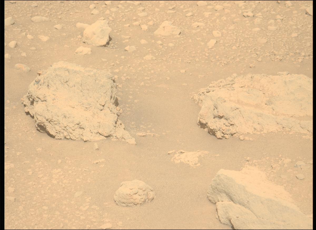This image was taken by MCZ_LEFT onboard NASA's Mars rover Perseverance on Sol 729