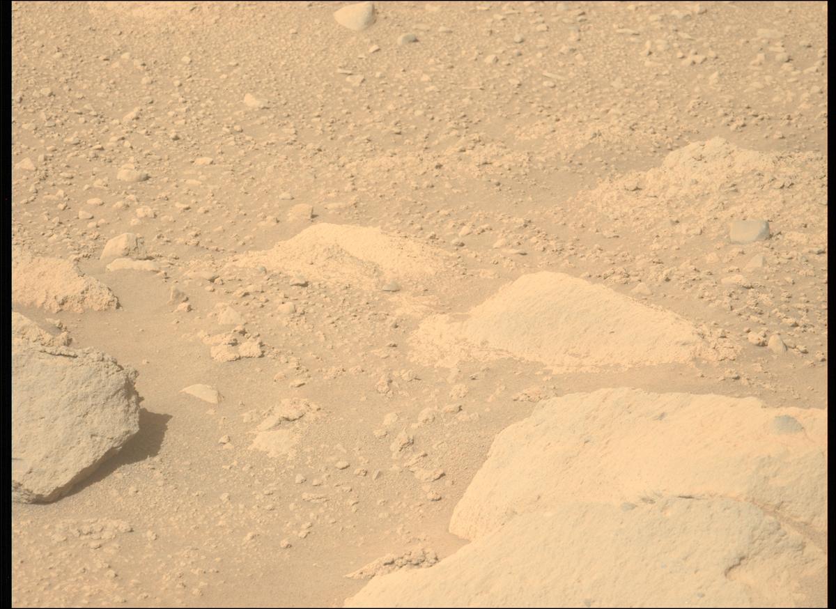 This image was taken by MCZ_LEFT onboard NASA's Mars rover Perseverance on Sol 729