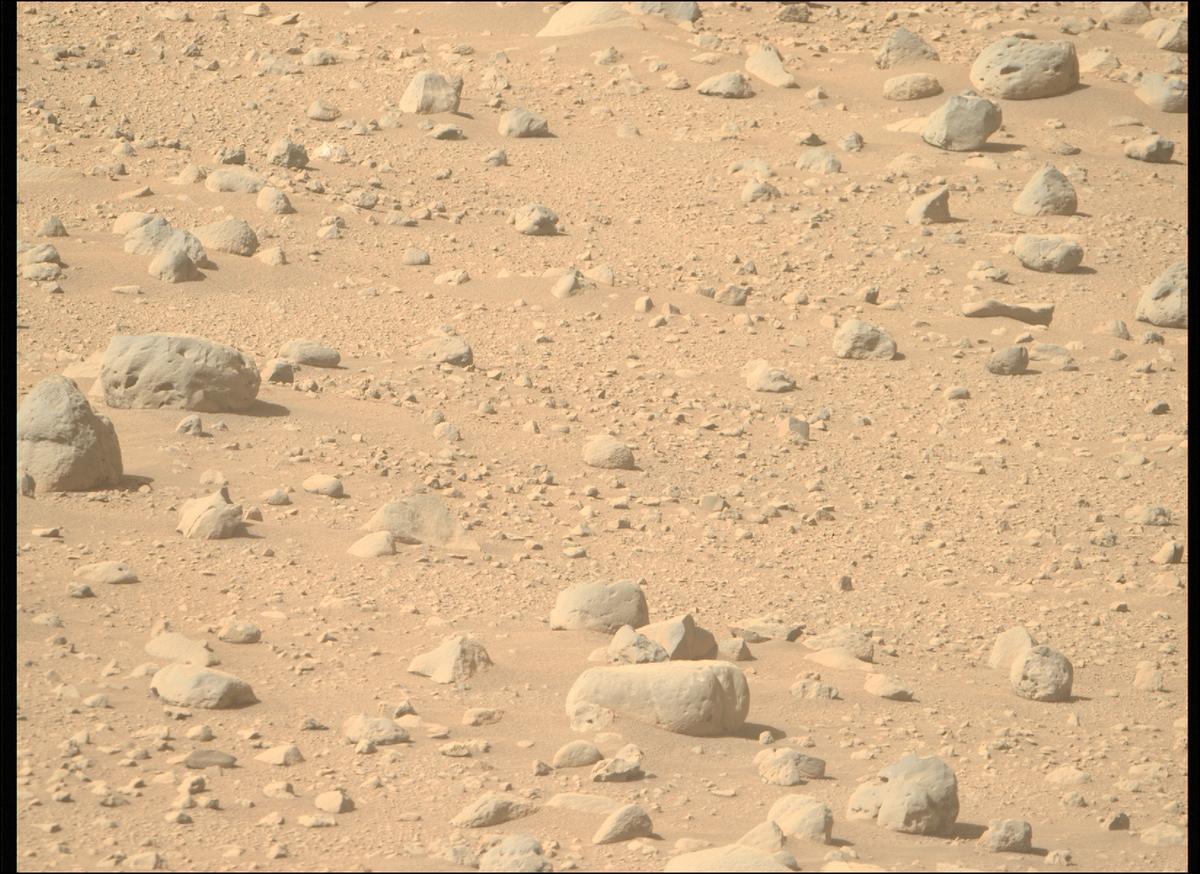 This image was taken by MCZ_RIGHT onboard NASA's Mars rover Perseverance on Sol 729
