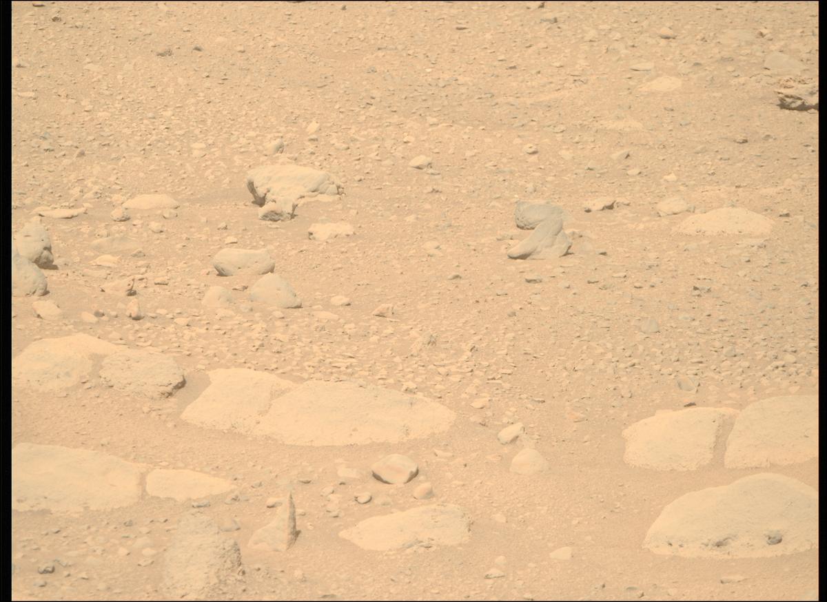 This image was taken by MCZ_RIGHT onboard NASA's Mars rover Perseverance on Sol 729