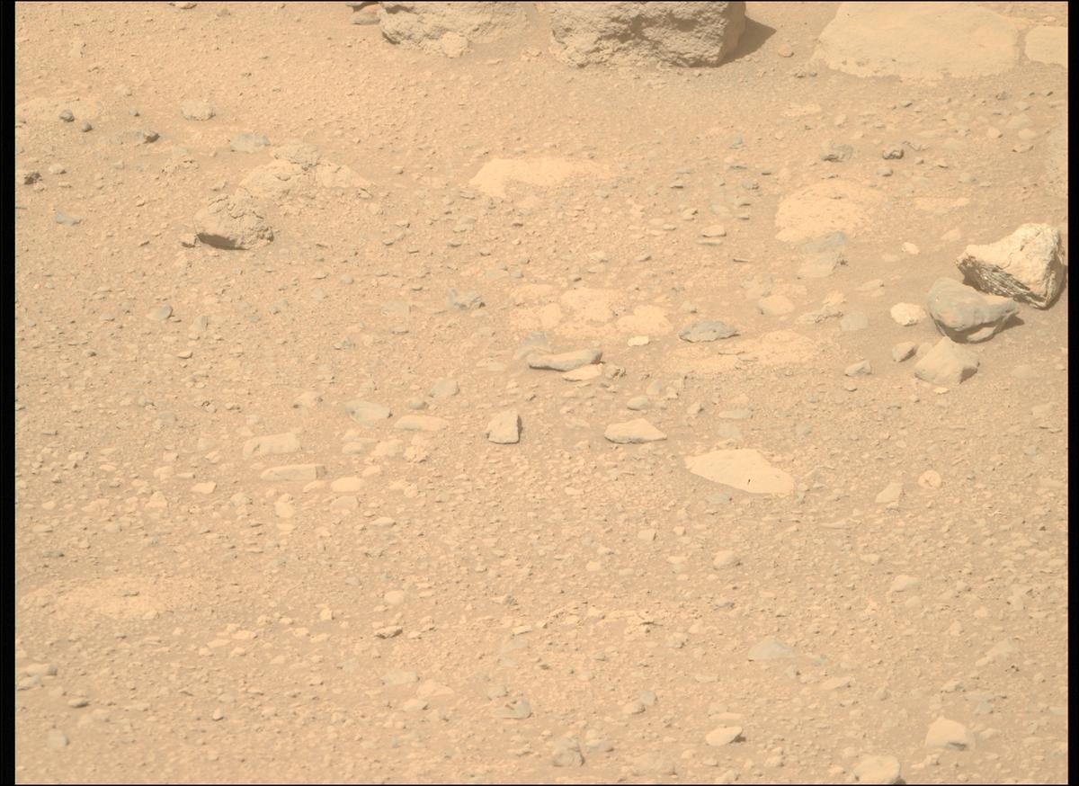 This image was taken by MCZ_RIGHT onboard NASA's Mars rover Perseverance on Sol 729